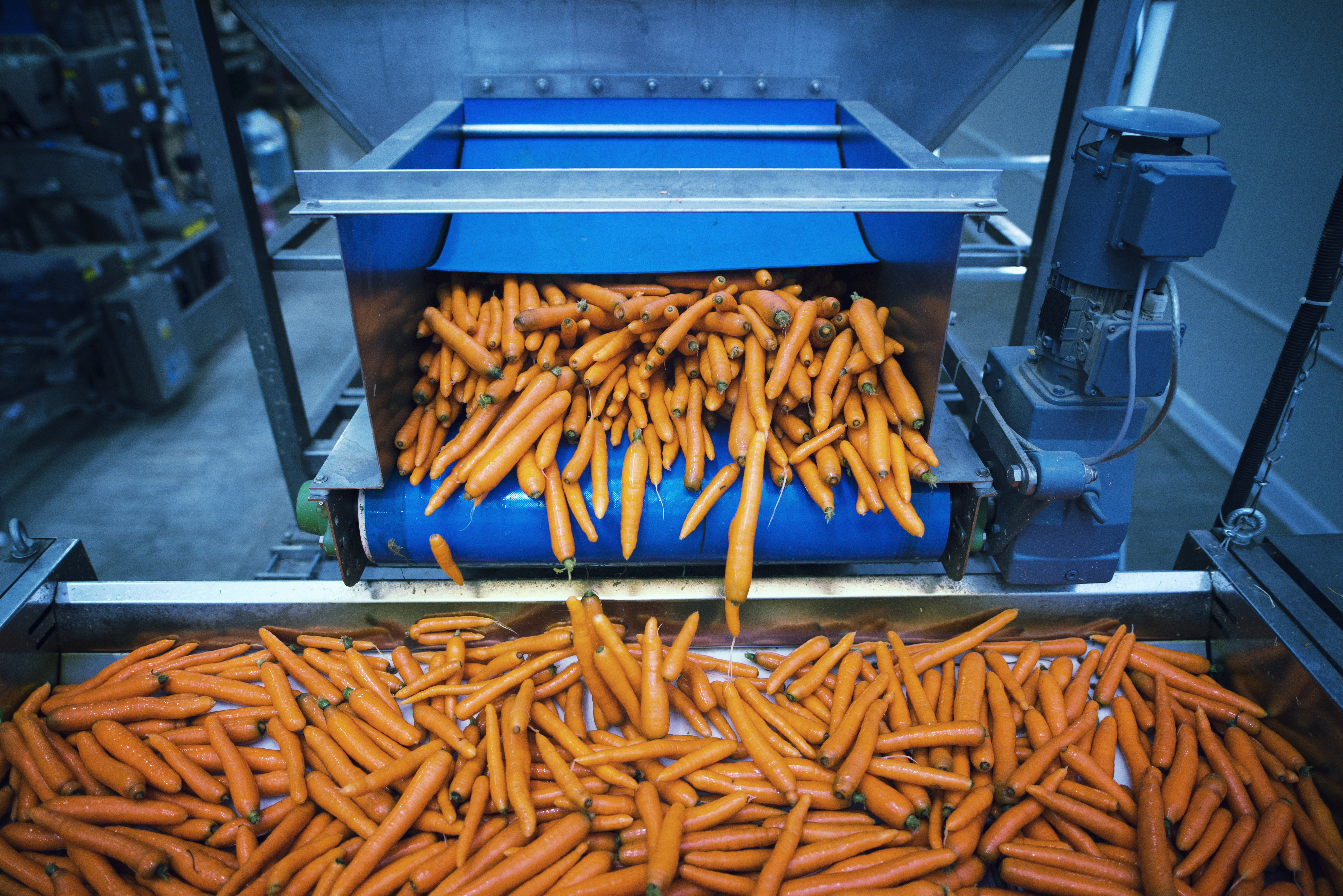 Agriculture and agro-processing equipment